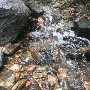 Meet your Posher, Scott